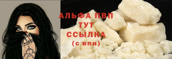 PSILOCYBIN Верхний Тагил