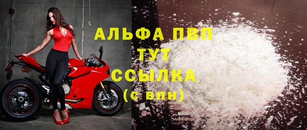 PSILOCYBIN Верхний Тагил