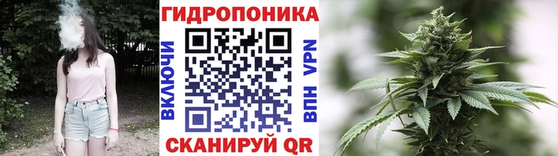 Марихуана Bruce Banner  Гдов 